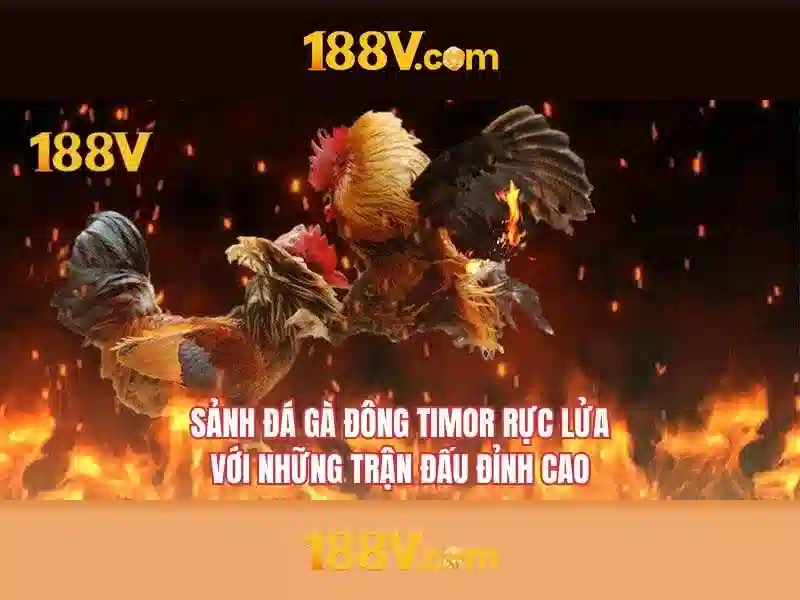 188V – Cổng Game Slot Đổi Thưởng Uy Tín Và Minh Bạch