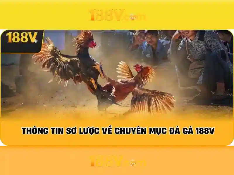 Trải Nghiệm Chơi SLOT 188v