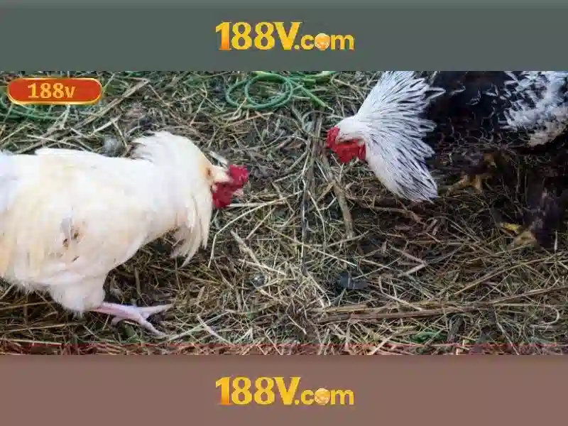Đăng nhập 188V 2026