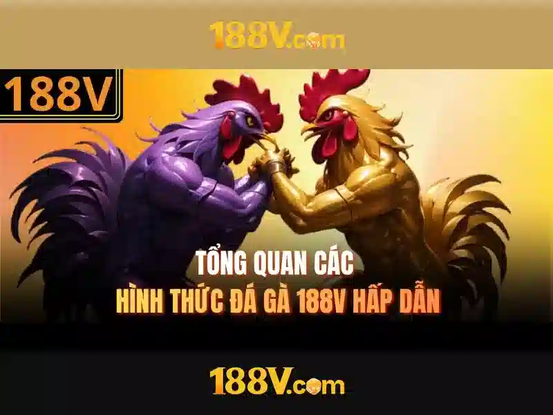 Chiến Thuật Bắn Cá Hiệu Quả Cho Người Mới