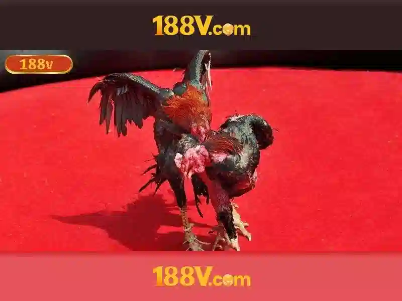 Cách Chơi Slot 188V Hiệu Quả