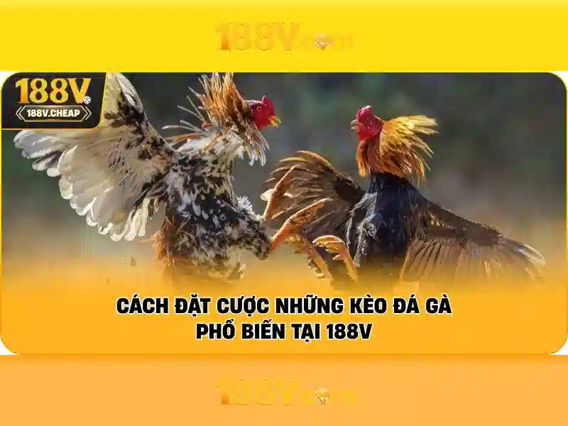 Tại sao chọn 188V