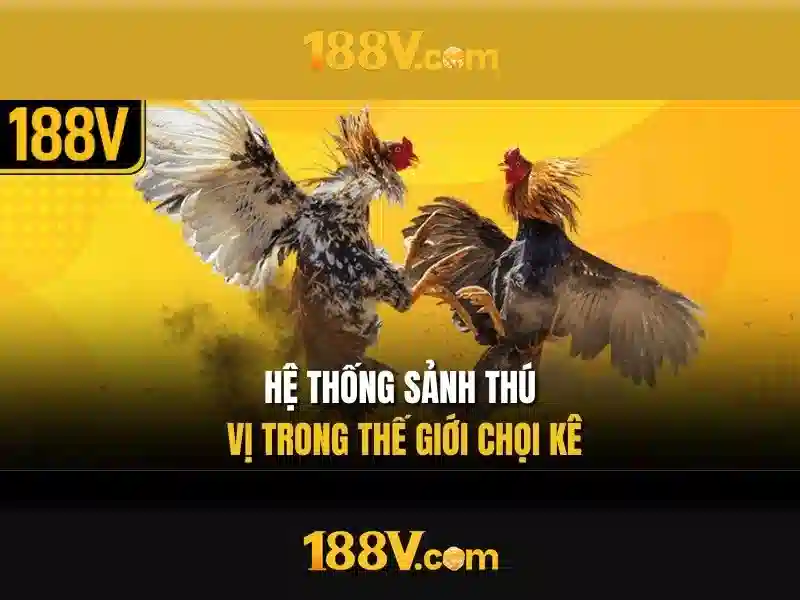Hướng Dẫn Rút Tiền 188V
