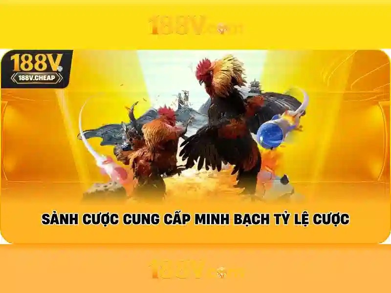 Hướng Dẫn Đăng Ký 188V