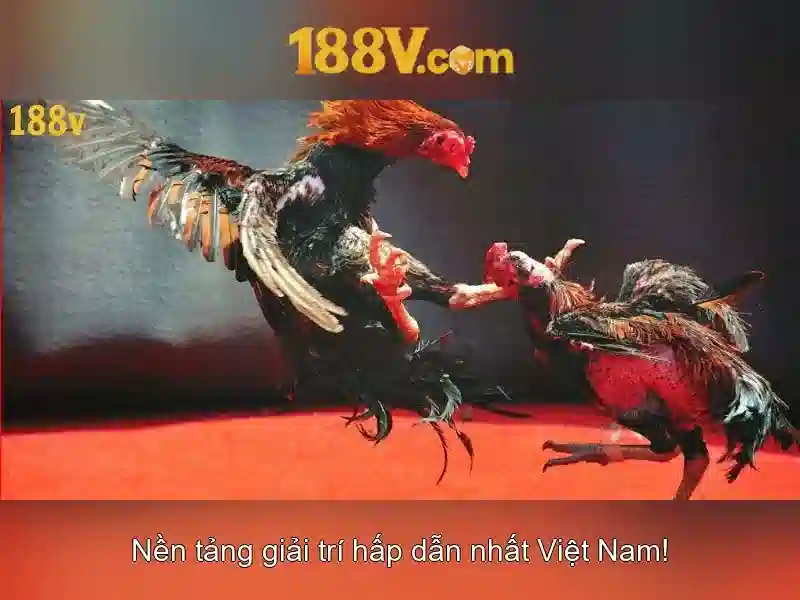 Hướng Dẫn Đăng Ký 188v