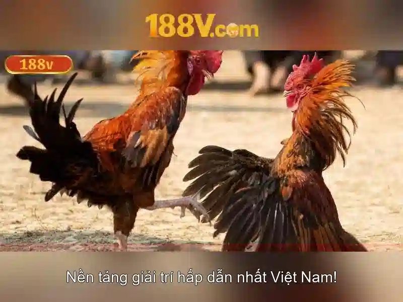 Tại Sao Nên Chọn 188v Là Nền Tảng Chơi SLOT Hàng Đầu
