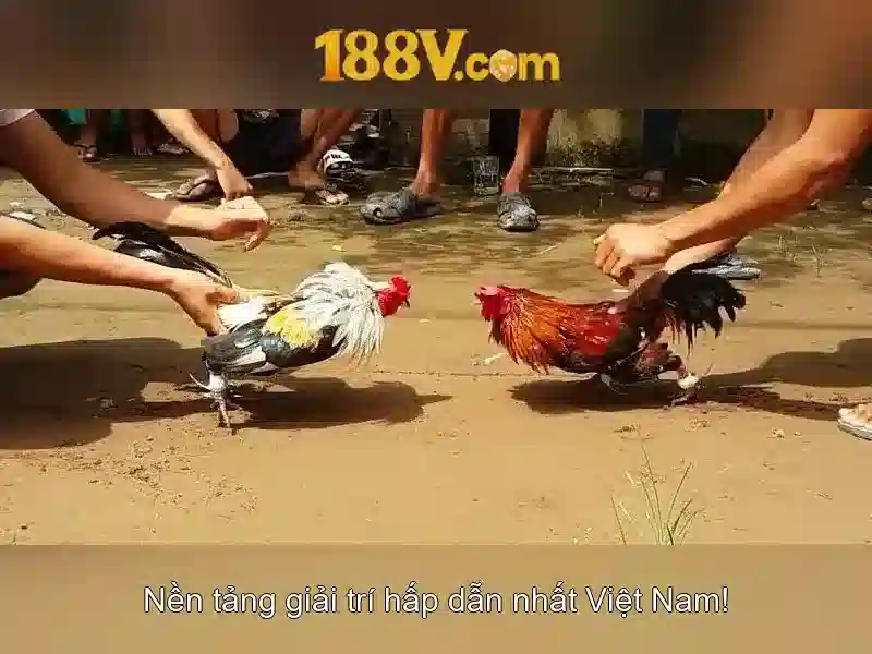 Tính Năng Đột Phá Của App 188v