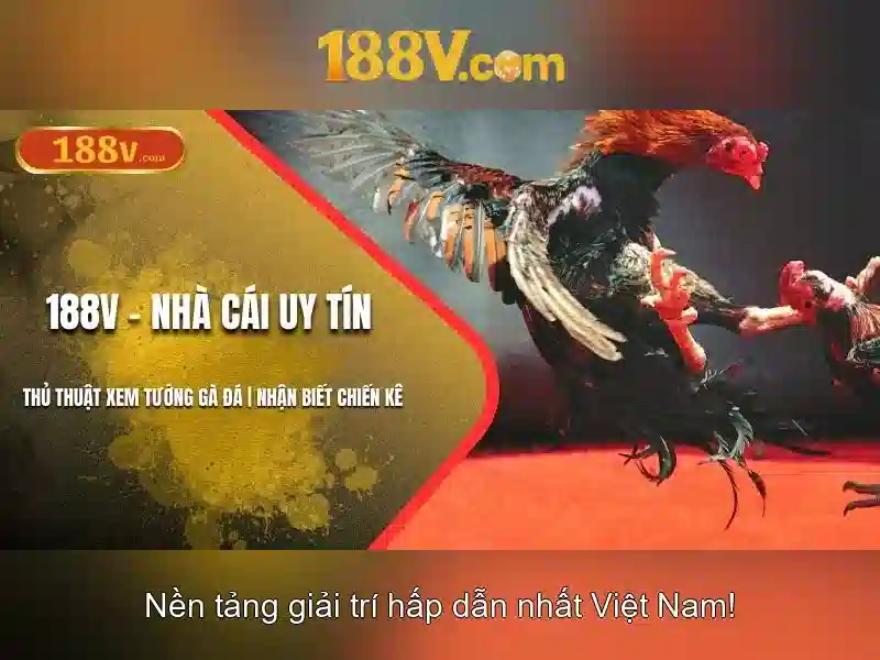 Ưu đãi cho thành viên 188V VIP