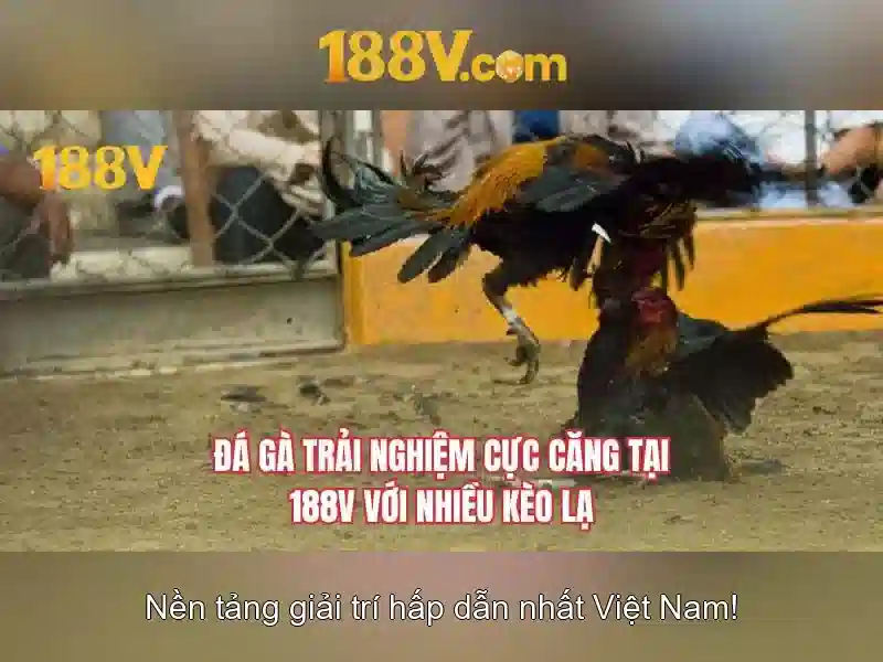 Ưu đãi game slot 188v